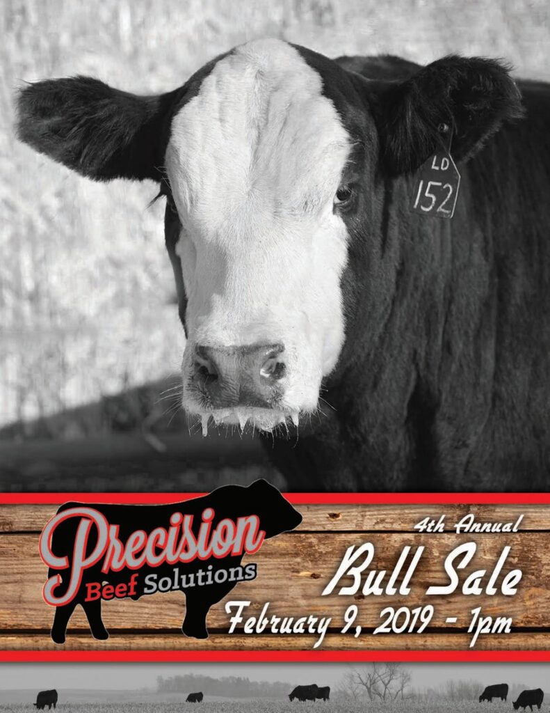 Precision Beef Solutions - 2019 Sale