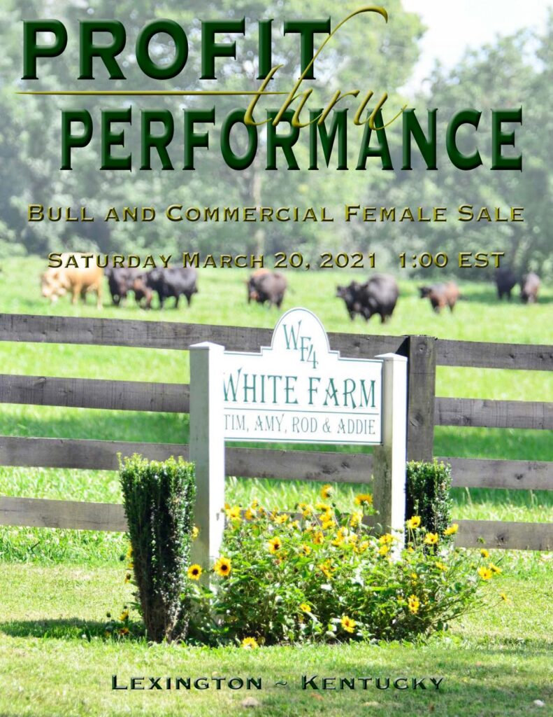 Profit Through Performance - 2021 Spring Sale