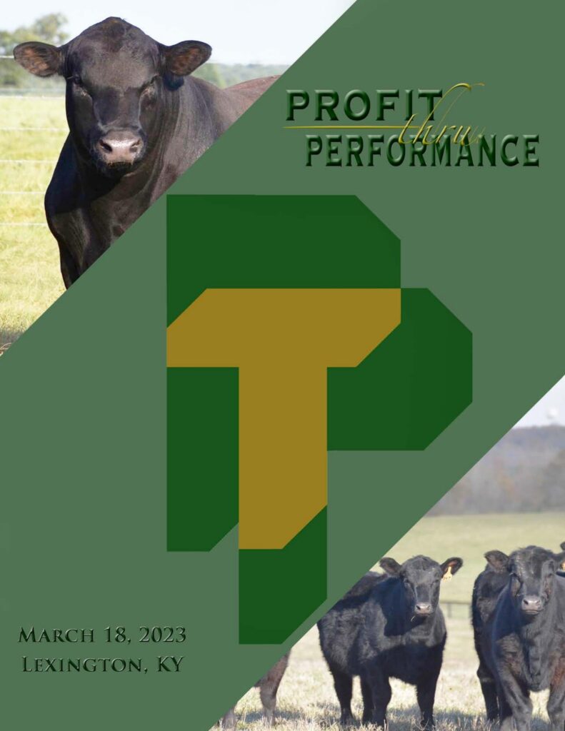 Profit Through Performance - 2023 Spring Sale
