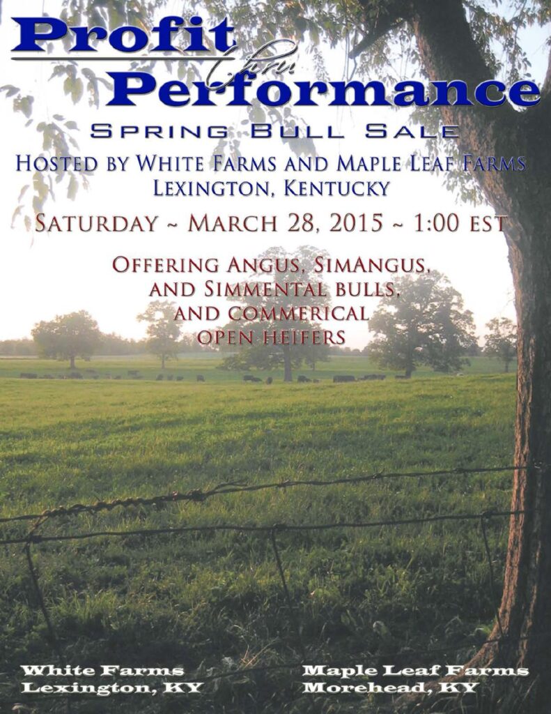 Profit thru Performance - 2015 Spring Bull Sale