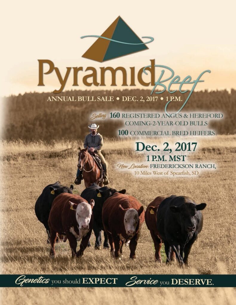 Pyramid Beef - 2017 Bull Sale
