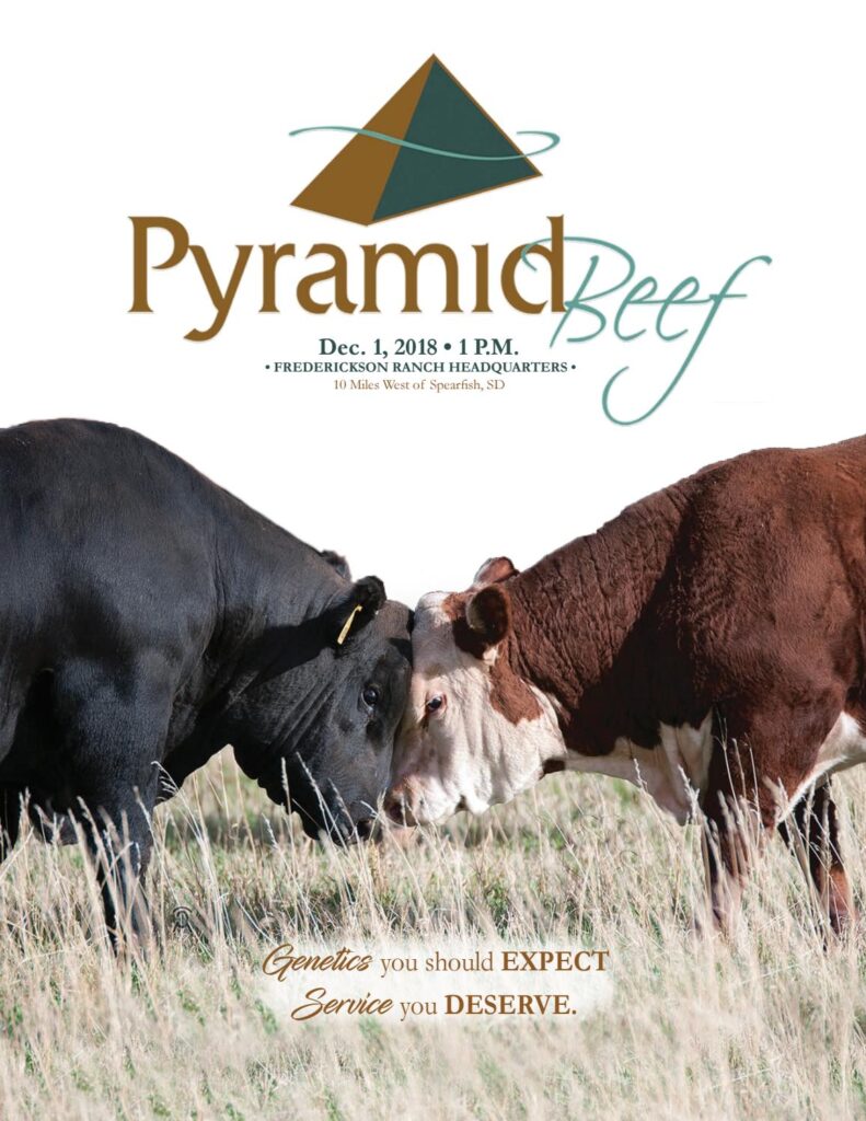 Pyramid Beef - 2018 Bull Sale