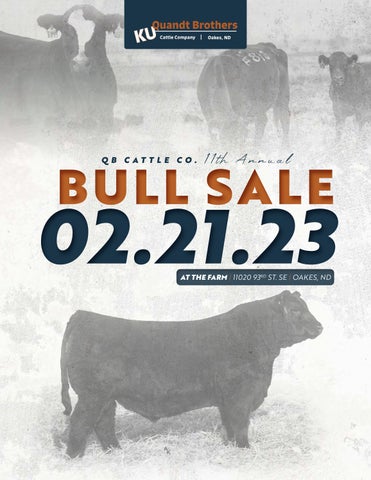 Quandt Brothers Cattle Company - 2023 Spring Sale