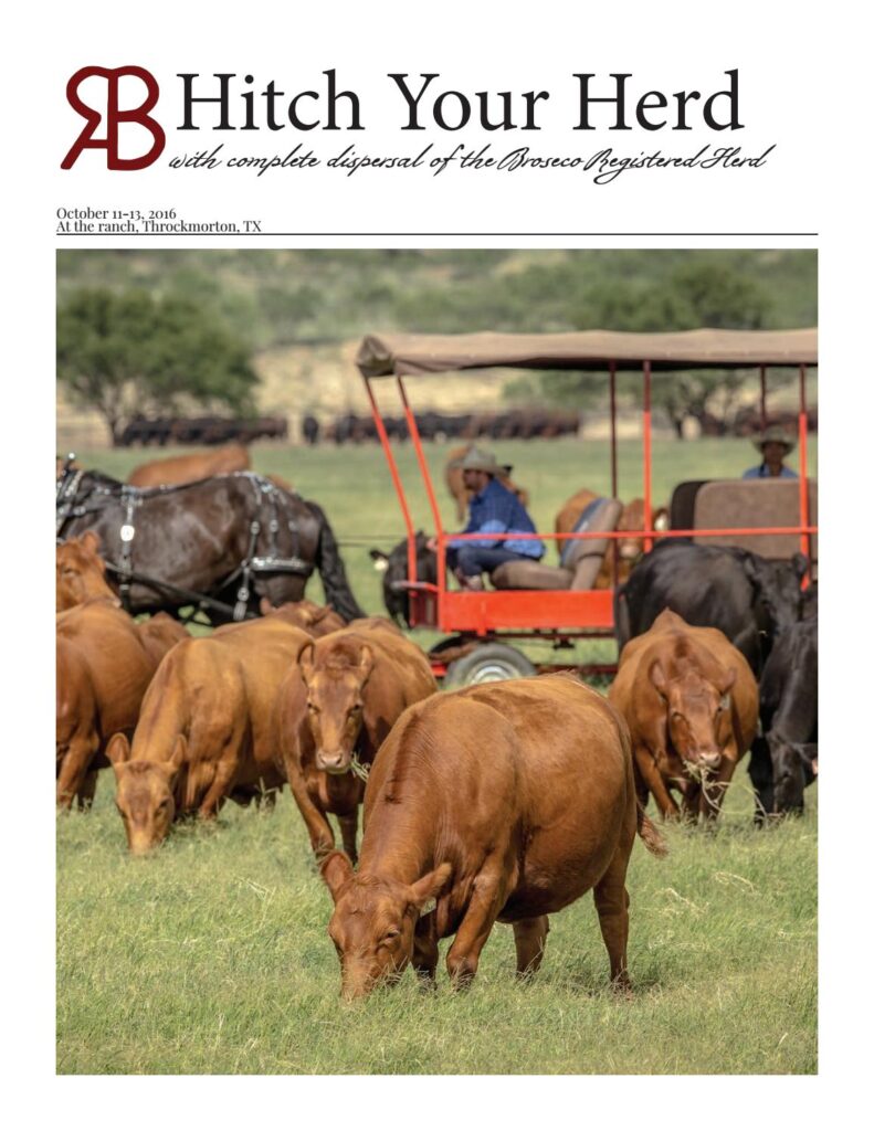 RA Brown Ranch - 2016 Fall Female Sale