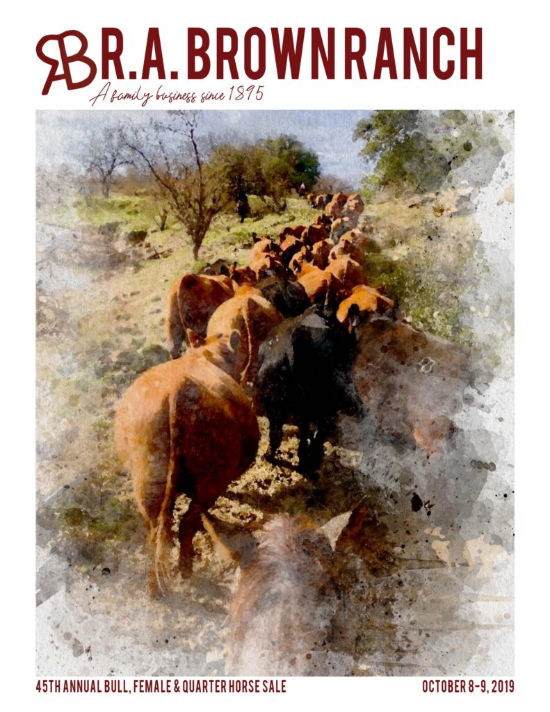 RA Brown Ranch - 2019 Fall Bull Sale