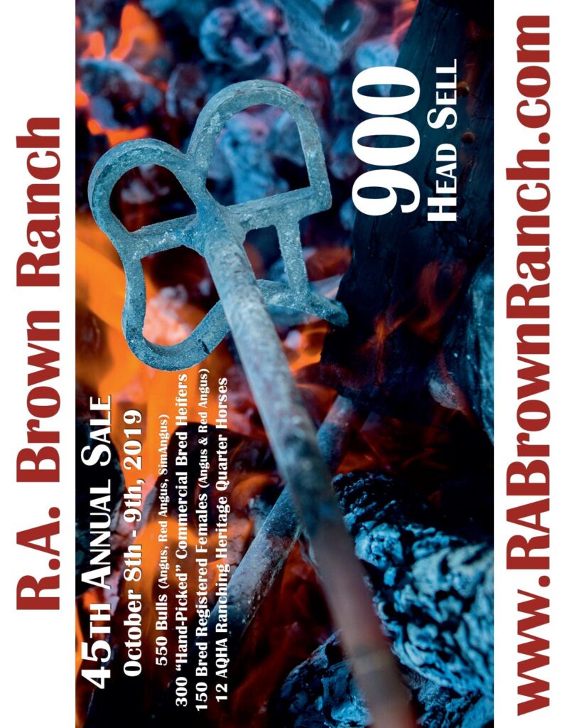 RA Brown Ranch - 2019 Fall Bull Sale Data