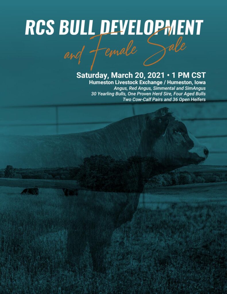 RCS - 2021 Spring Bull Development Plus Females Sale
