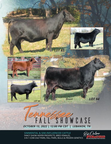 RCS - 2022 Fall Tennessee Showcase Sale