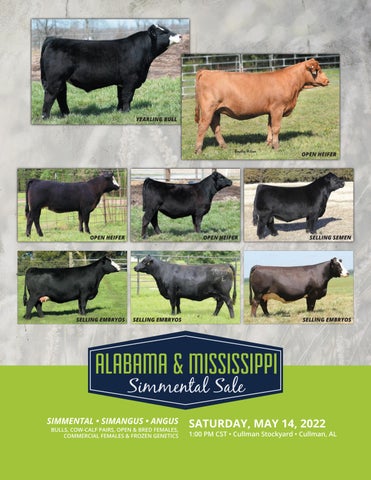 RCS - 2022 Spring Alabama/Mississippi State Sale