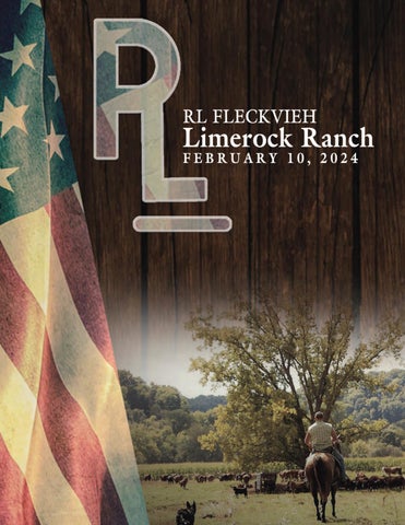 RL Fleckvieh Limerock Ranch Bull & Heifer Sale