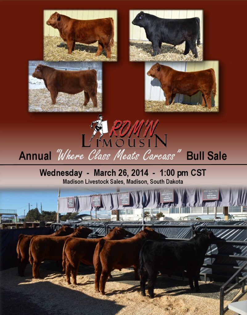 ROM'N Limousin - 2014 'Where Class Meats Carcass' Bull Sale