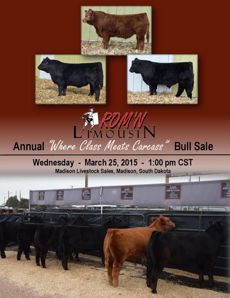 ROM'N Limousin - 2015 'Where Class Meats Carcass' Bull Sale