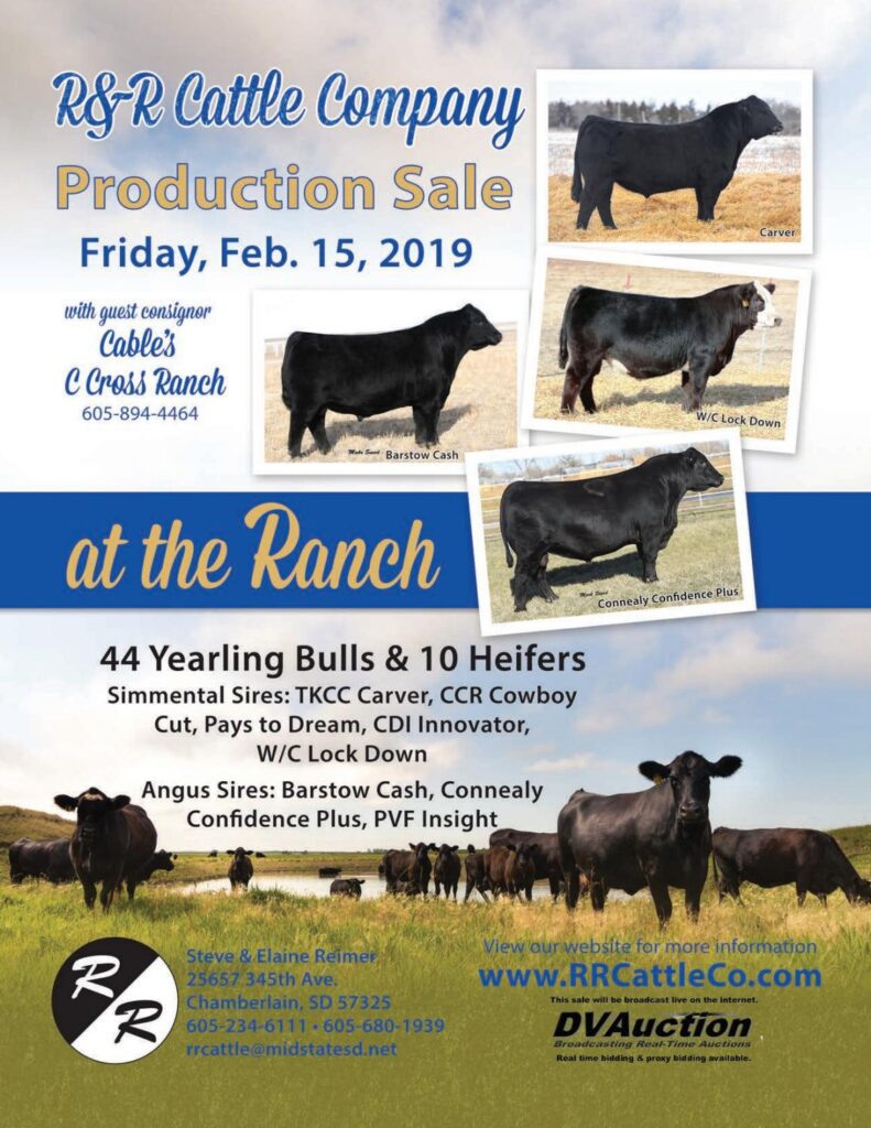 R&R Cattle Company - 2019 Sale
