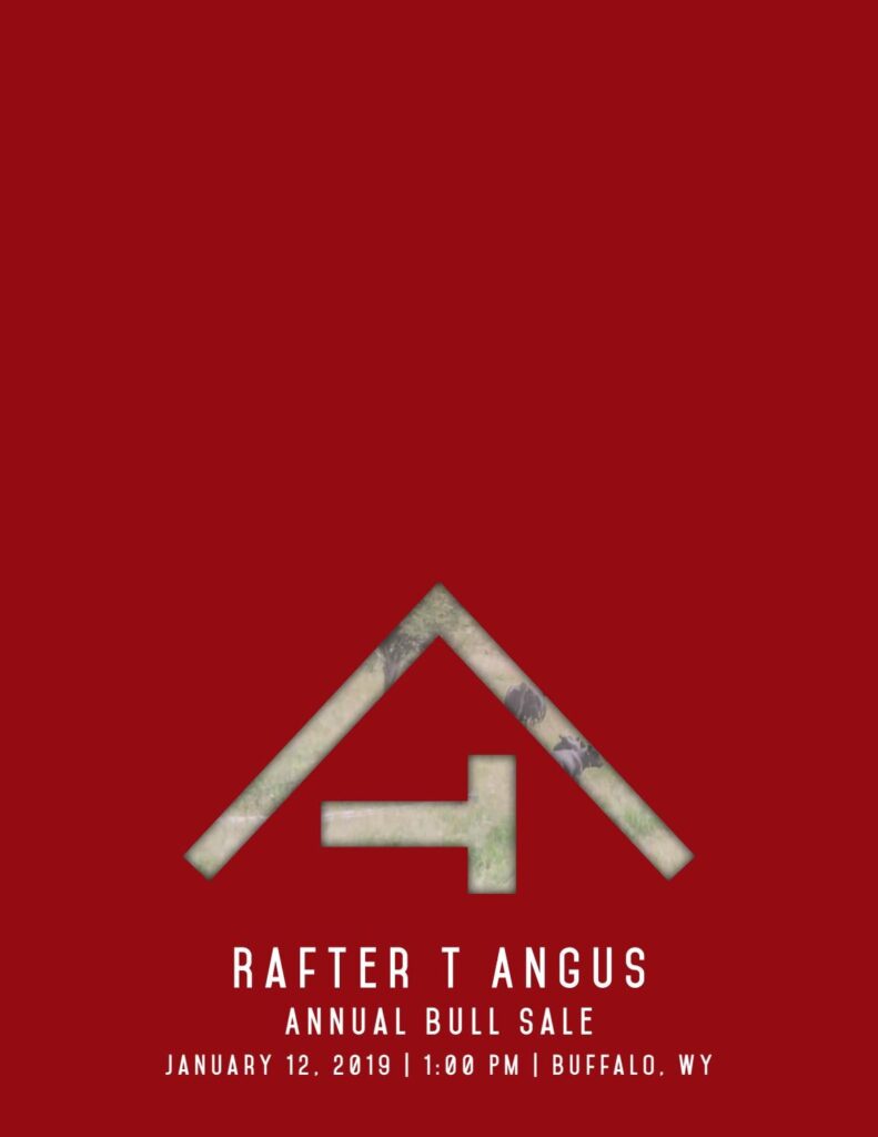 Rafter T Angus - 2019 Bull Sale