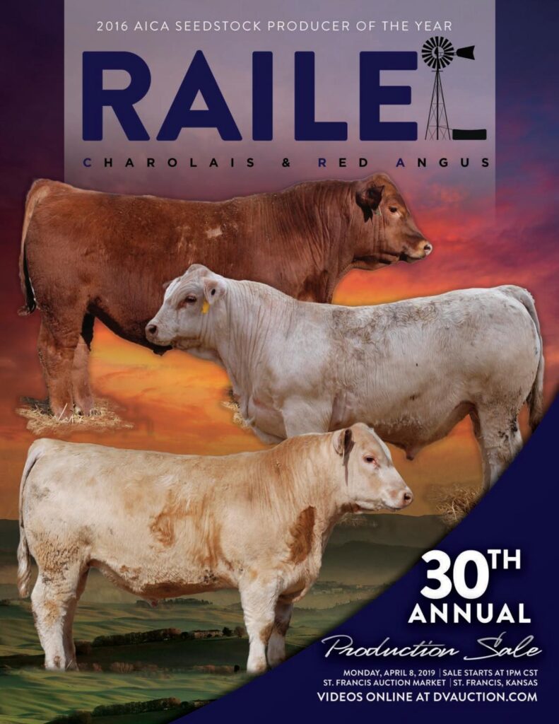 Raile Charolais & Red Angus - 2019 Sale