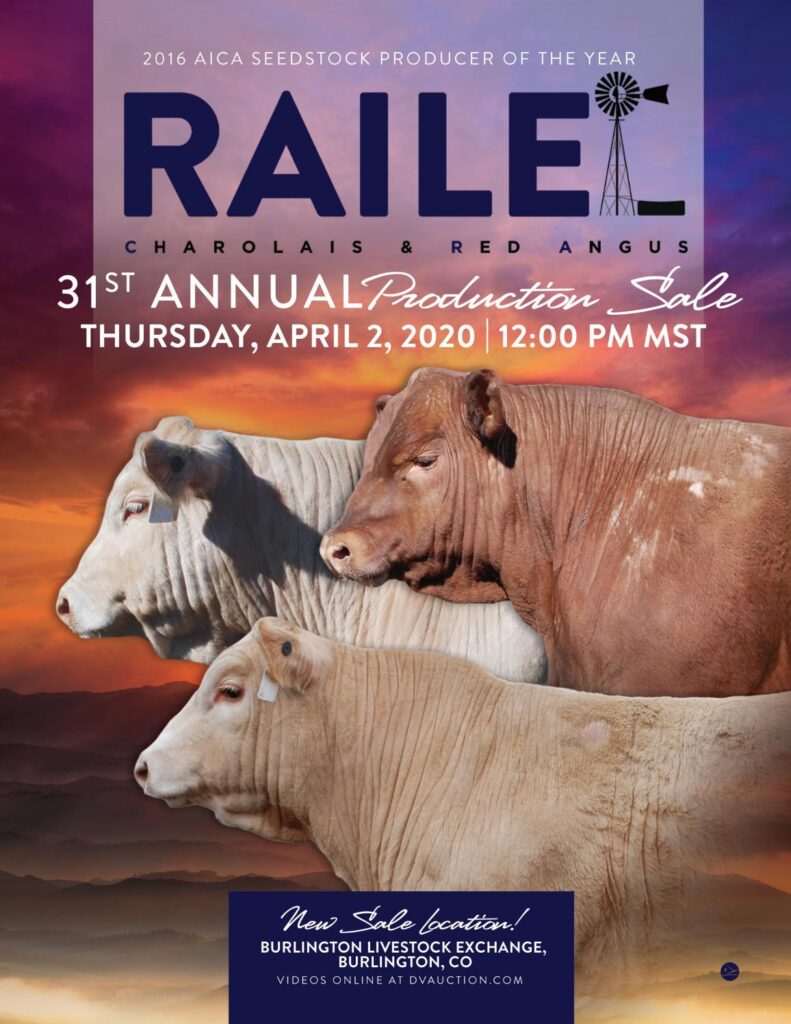 Raile Charolais & Red Angus - 2020 Sale