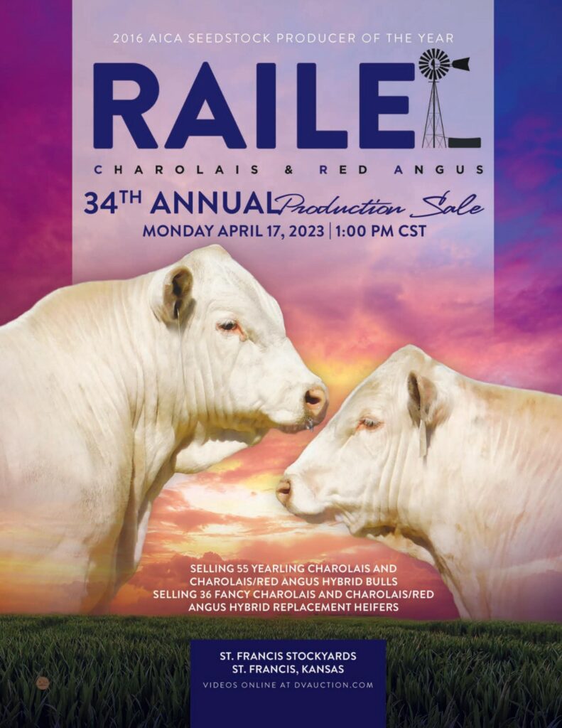 Raile Charolais & Red Angus - 2023 Spring Sale
