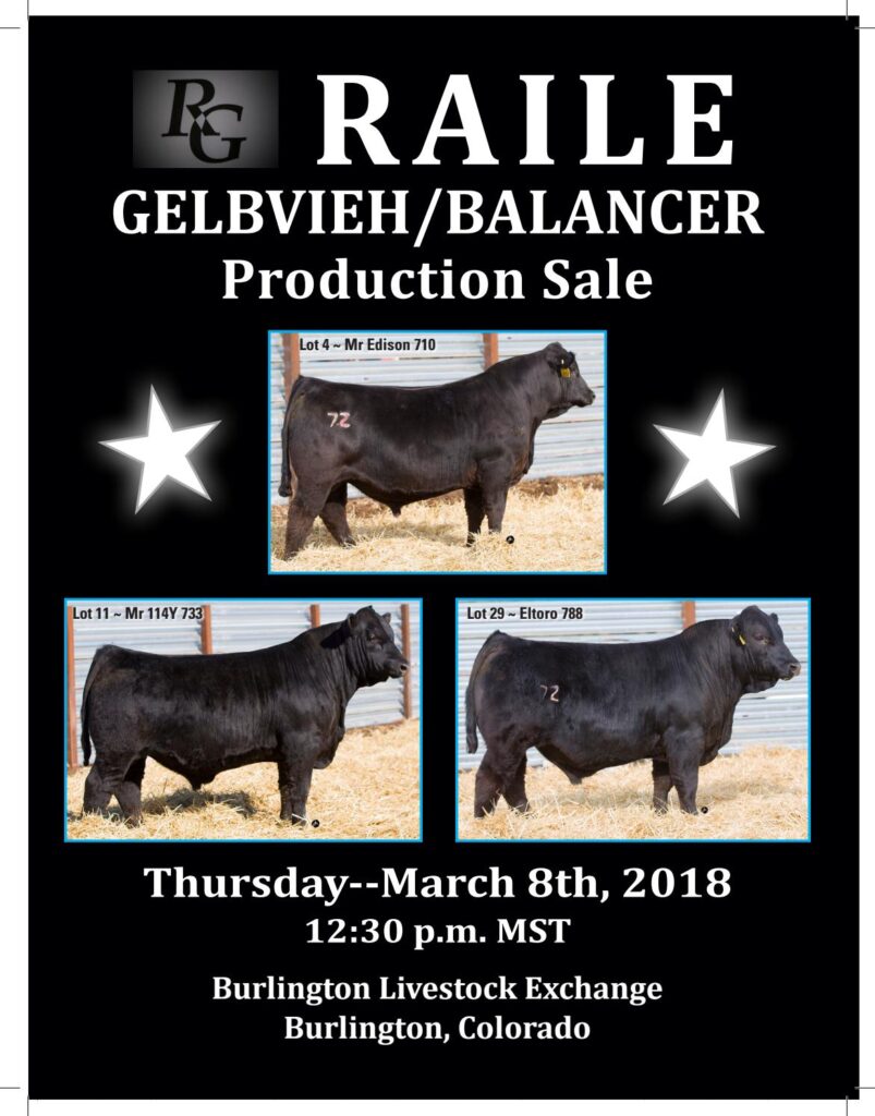 Raile Gelbvieh/Balancers - 2018 Production Sale