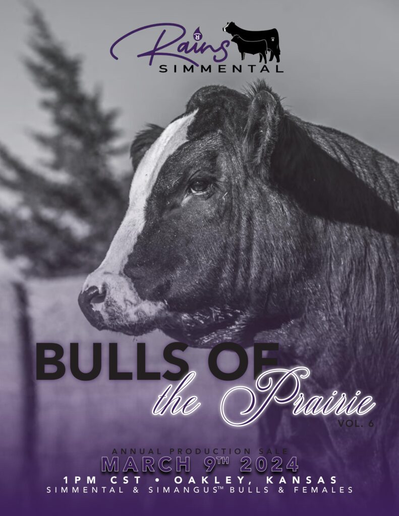 Rains Simmental Annual Production Sale