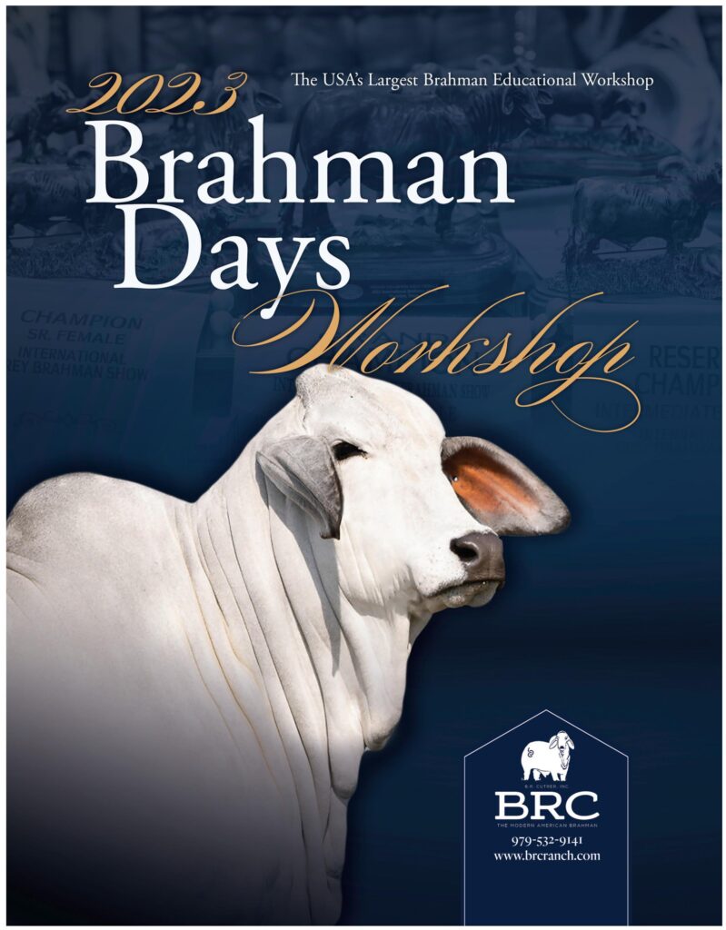 Ranch House Designs - 2023 Brahman Days Workshop Mailer