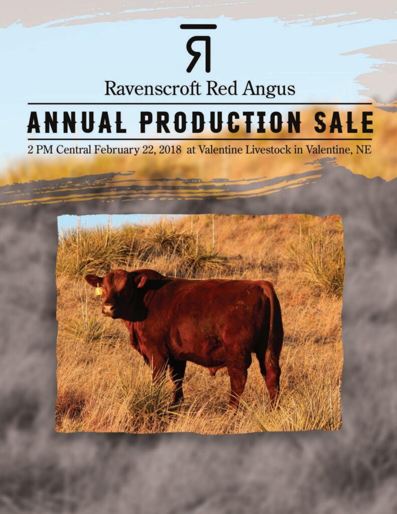 Ravenscroft Red Angus - 2018 Production Sale