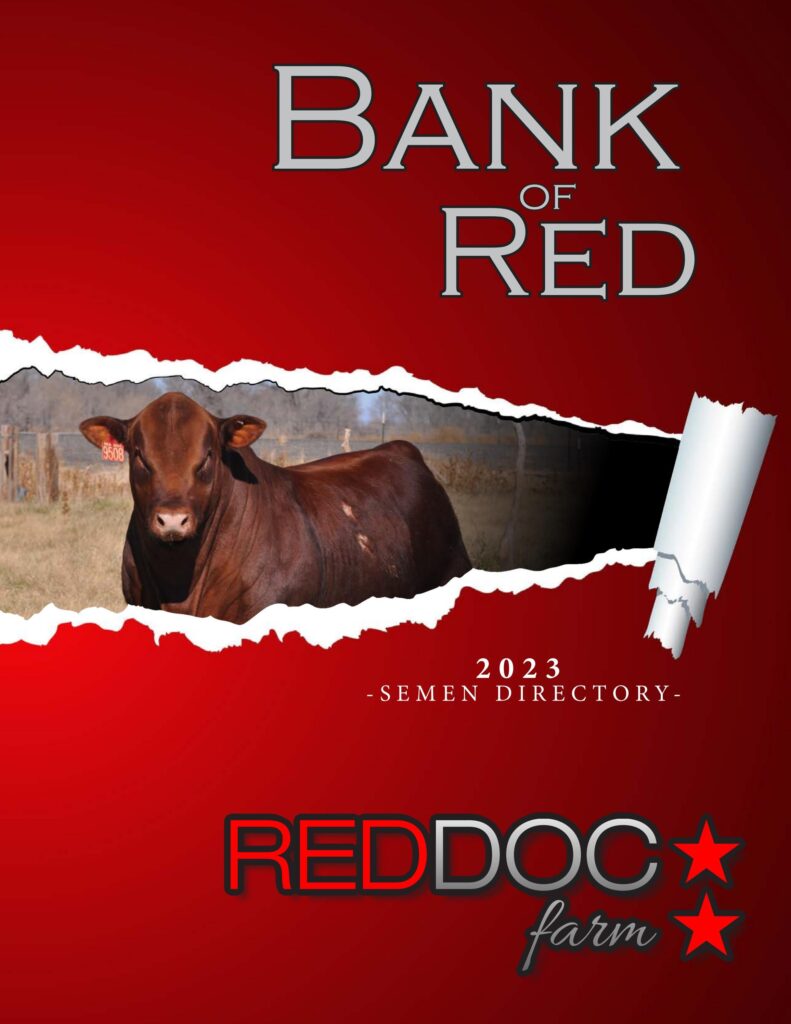 Red Doc Farm - 2023 Semen Directory