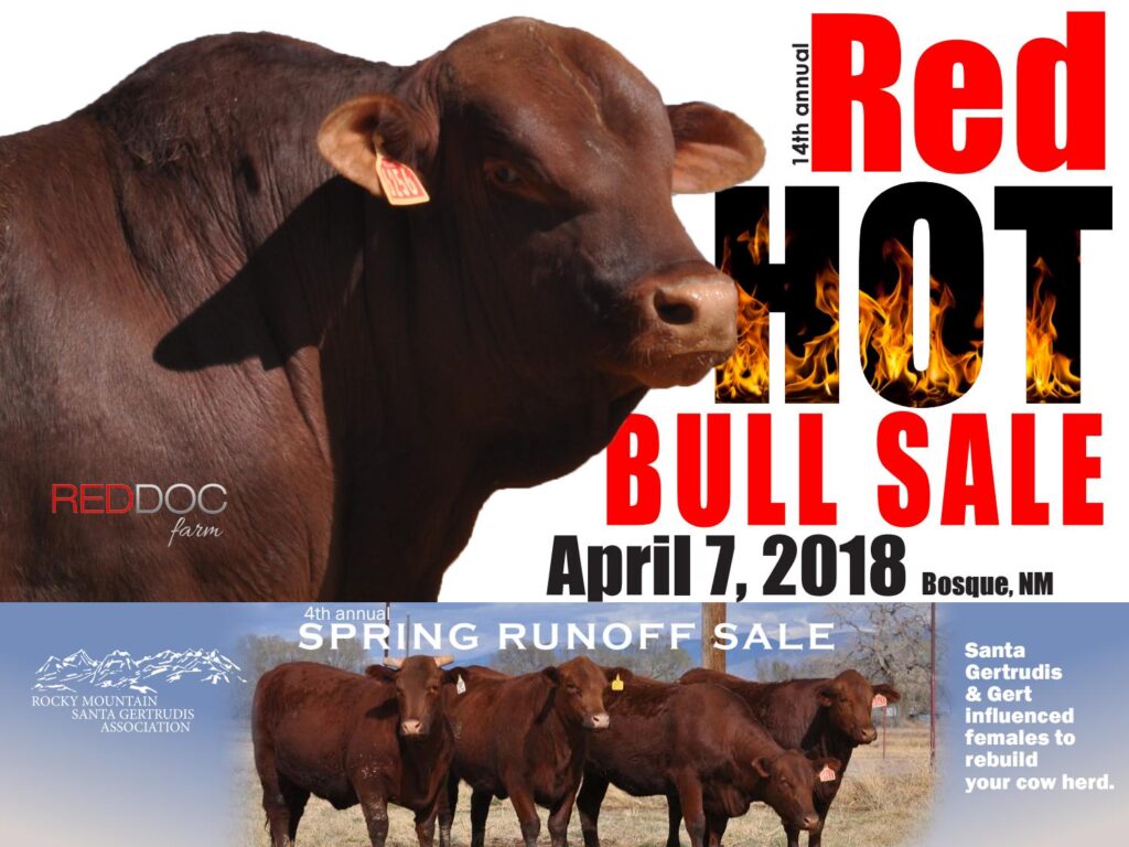 Red Doc Farms - 2018 Red Hot Bull Sale