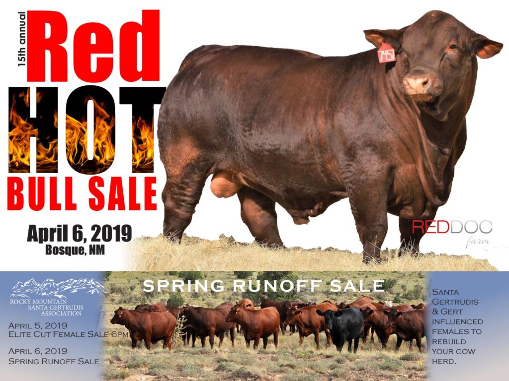 Red Doc Farms - 2019 Bull Sale