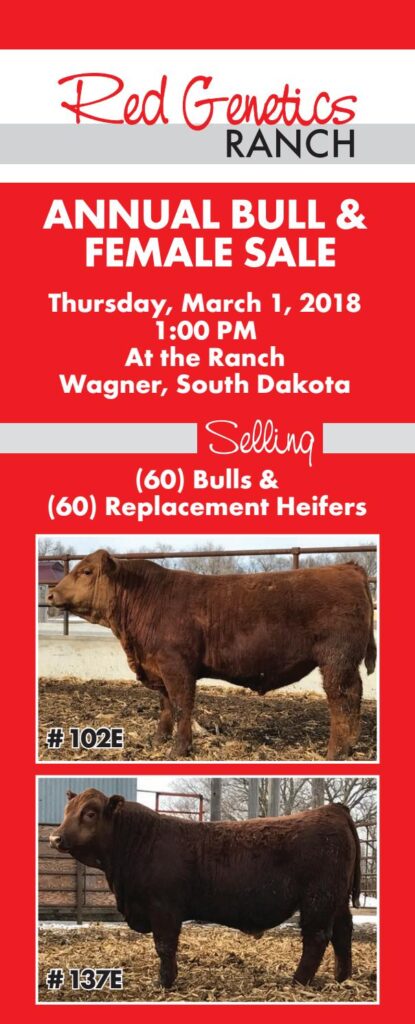 Red Genetics Ranch - 2018 Sale