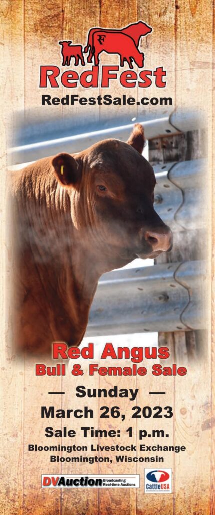 RedFest Red Angus - 2023 Spring Bull Sale