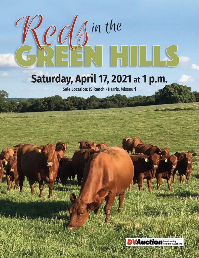 Reds In the Green Hills - 2021 Spring Sale