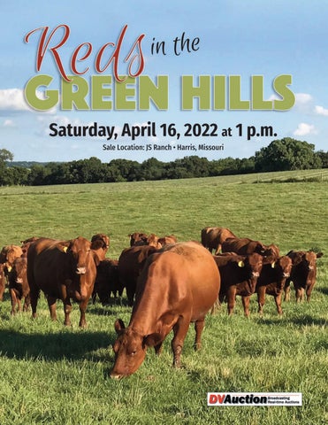 Reds In the Green Hills - 2022 Spring Sale