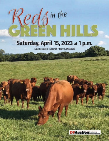 Reds In the Green Hills - 2023 Spring Sale