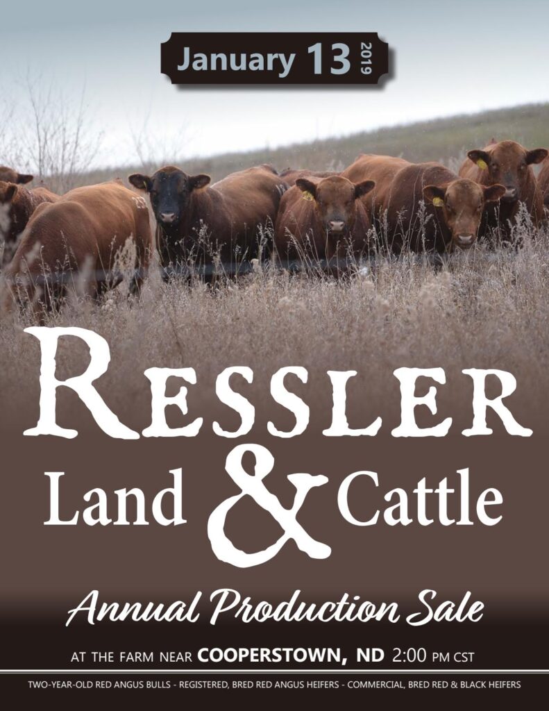 Ressler Land & Cattle - 2019 Sale