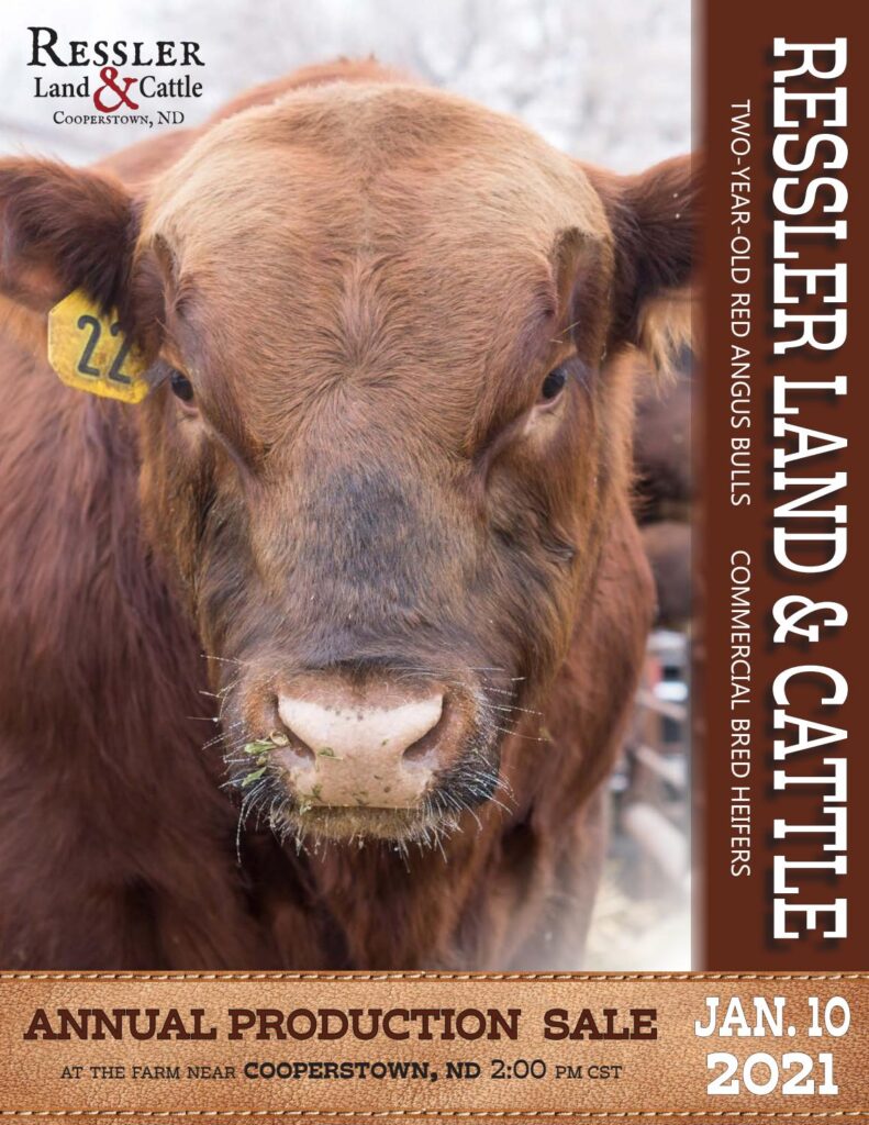 Ressler Land & Cattle - 2021 Spring Sale