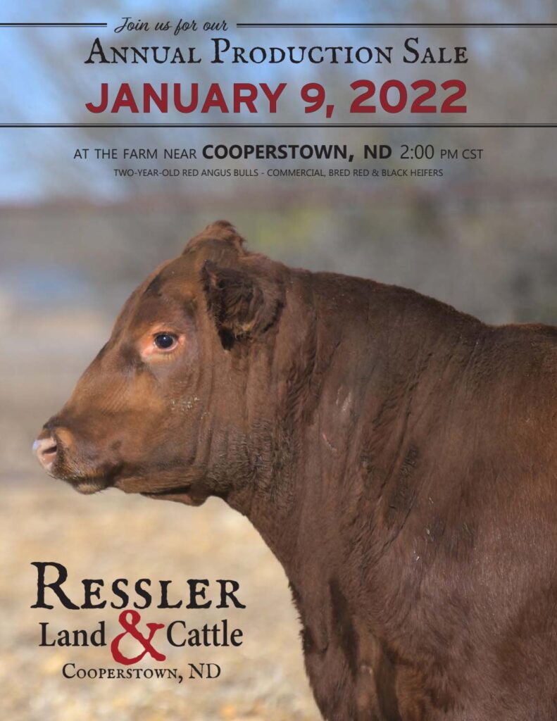 Ressler Land & Cattle - 2022 Spring Sale