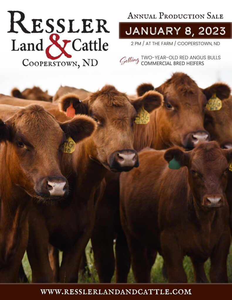 Ressler Land & Cattle - 2023 Spring Sale