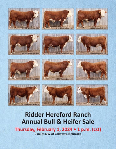 Ridder Hereford Ranch Annual Bull & Heifer Sale
