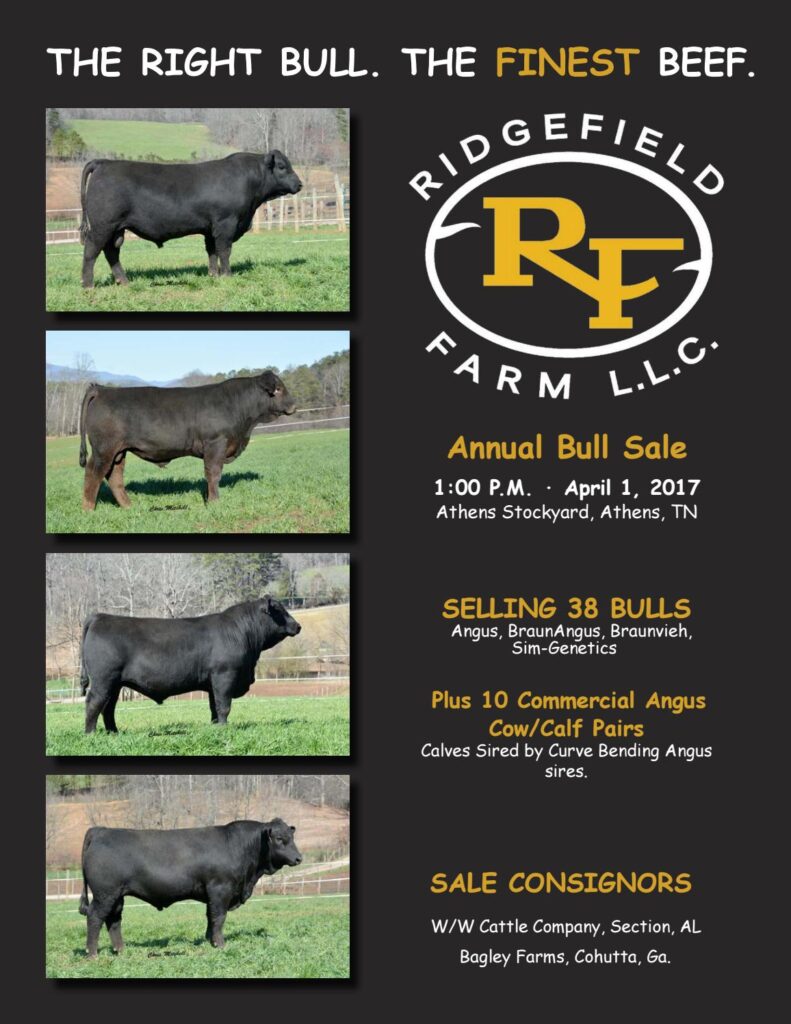 Ridgefield Farm - 2017 Bull Sale