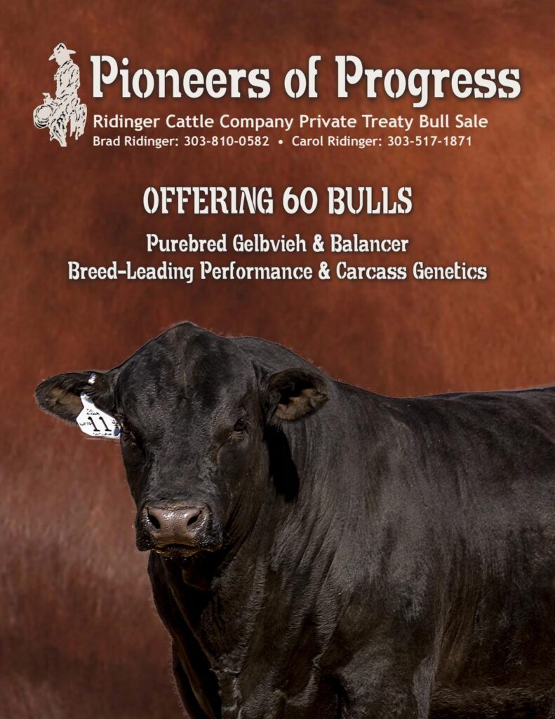 Ridinger Cattle Company - 2018 Private Treaty Bull Sale