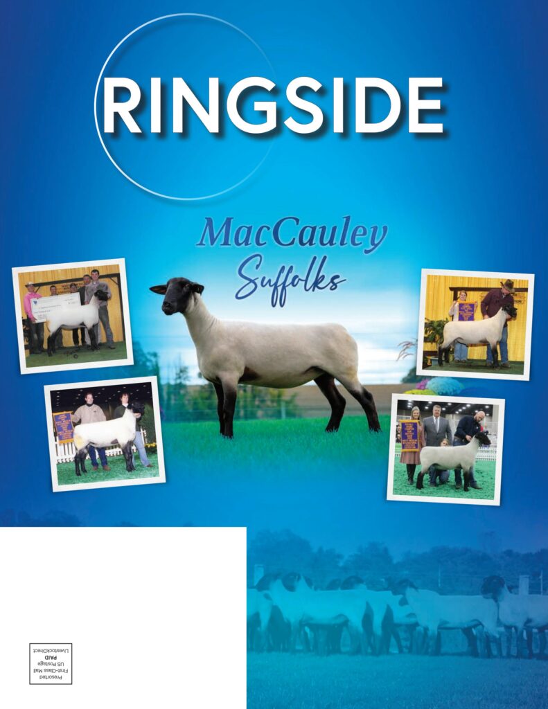 Ringside Sheep Magazine - 2022 Nov Issue