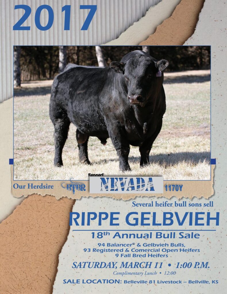 Rippe Gelbvieh - 18th Annual Bull Sale