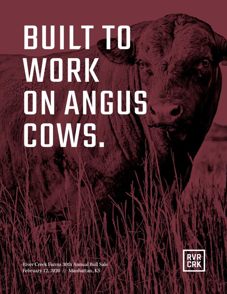 River Creek Farms - 2020 Bull Sale