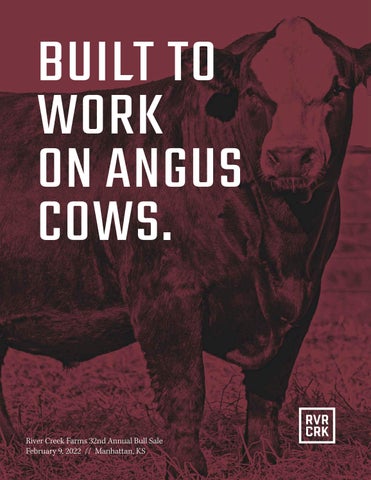 River Creek Farms - 2022 Spring Bull Sale