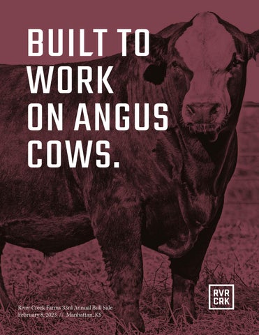 River Creek Farms - 2023 Spring Bull Sale