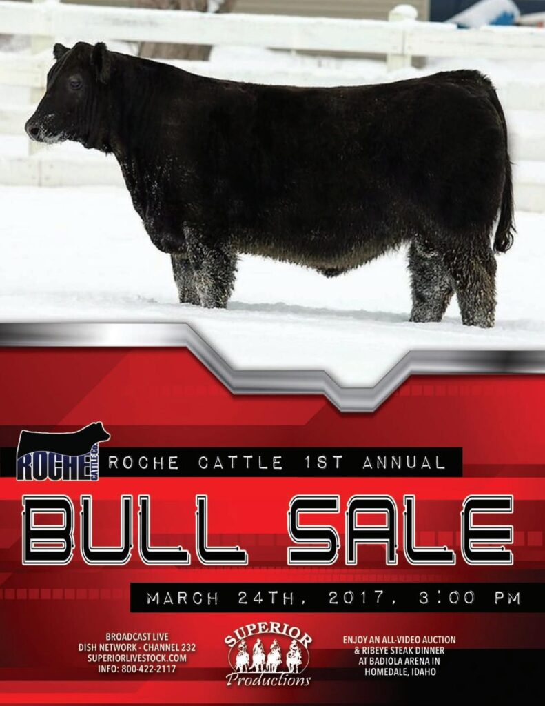 Roche Cattle - 1st Annual Bull Sale