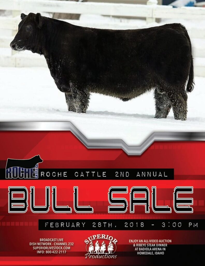 Roche Cattle Co - 2018 Bull Sale