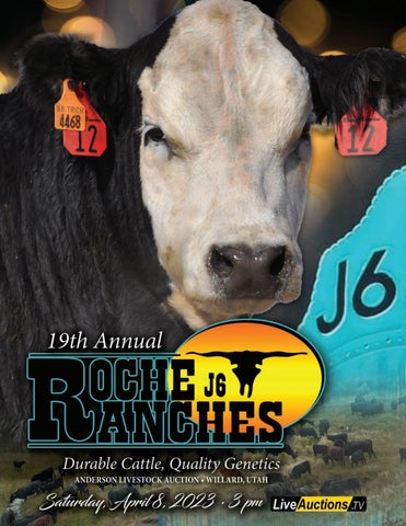 Roche Ranch - 2023 Spring Bull Sale