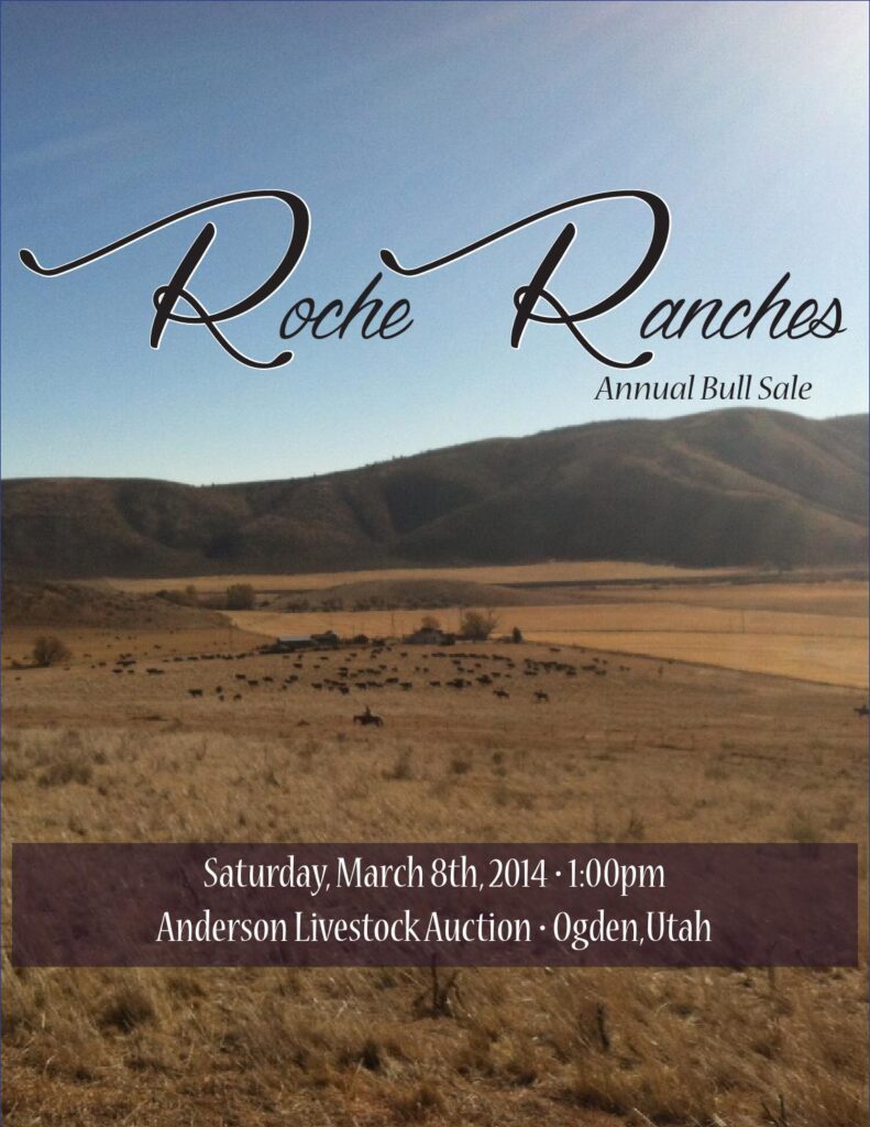 Roche Ranches - 10th Annual Bull Sale