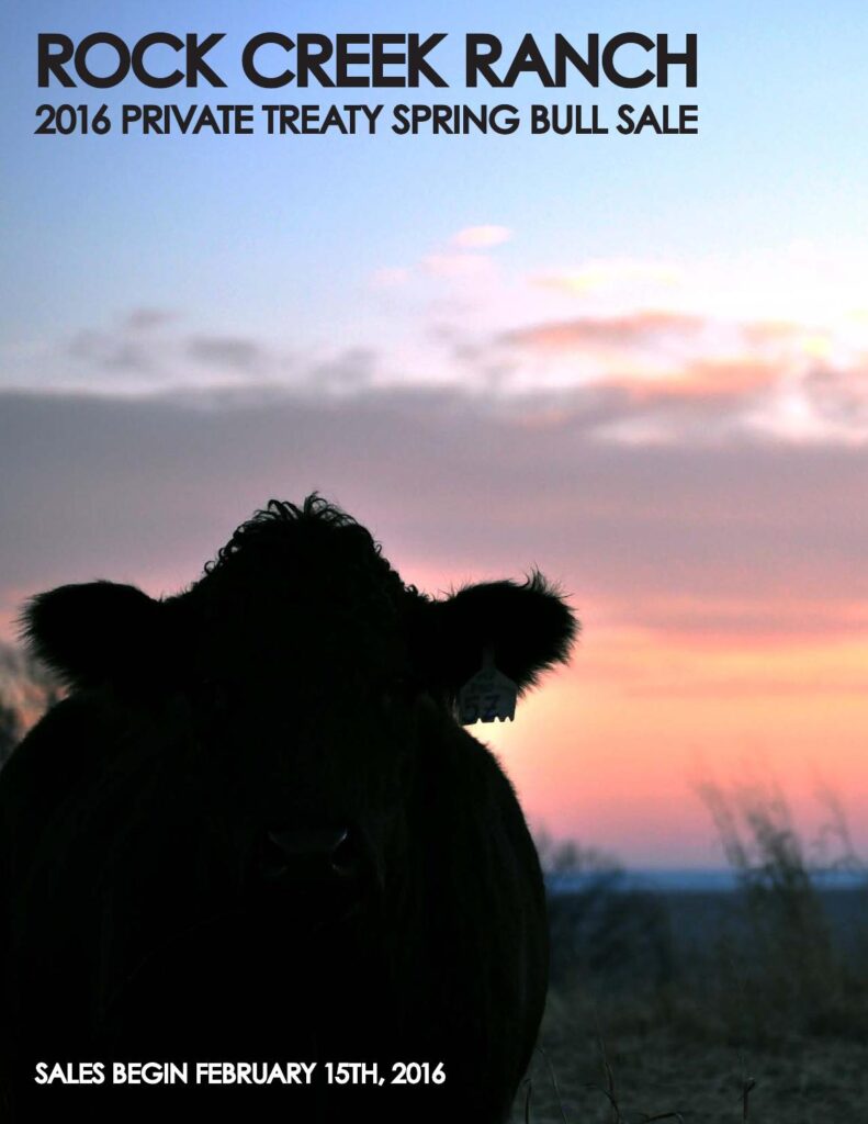 Rock Creek Ranch - 2016 Private Treaty Spring Bull Sale